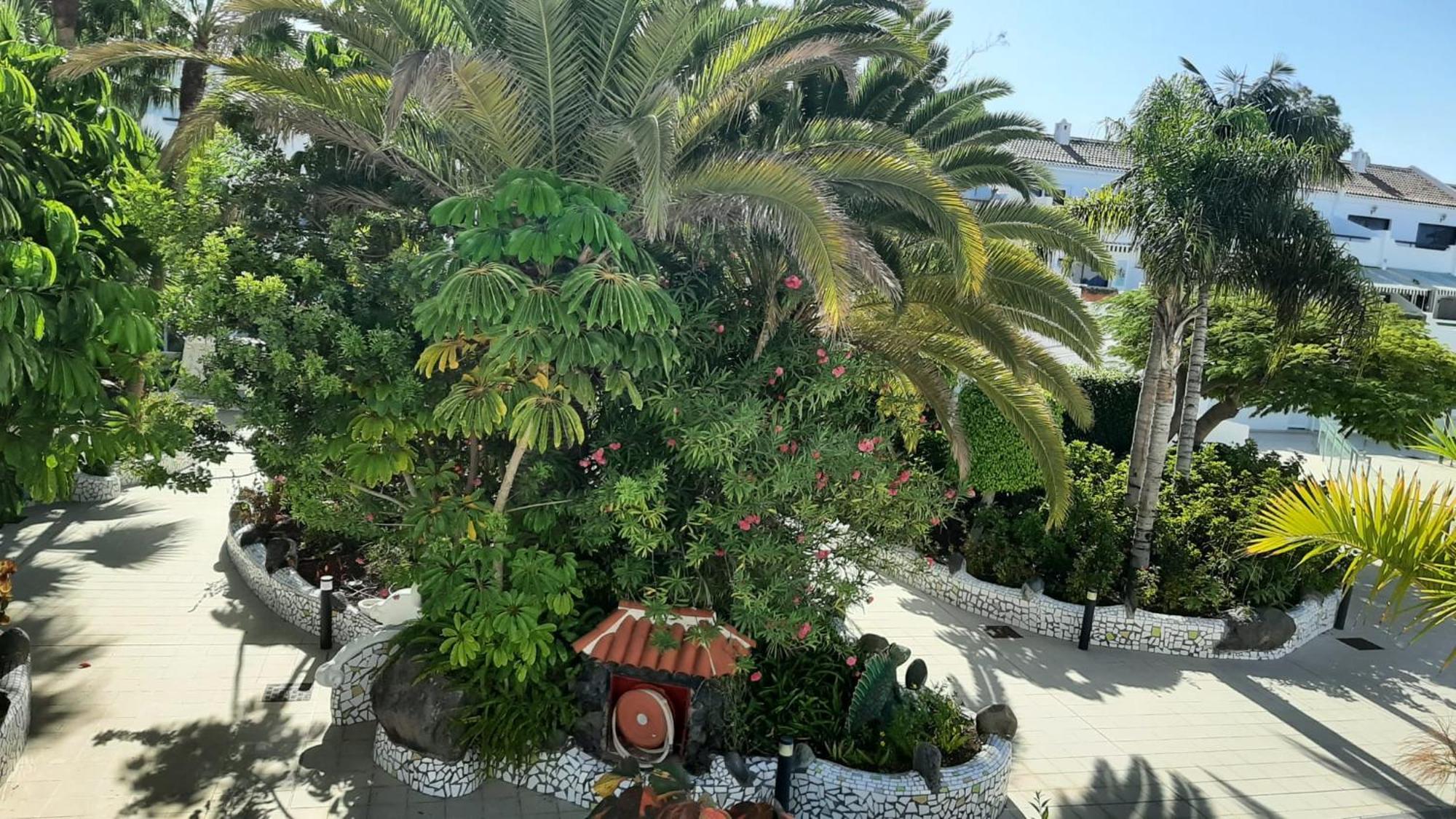 Blue Bay Paradise - Beach Front Apartment With Sea View Playa Paraiso  Kültér fotó